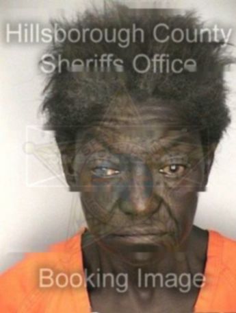 Shirley A Pullins