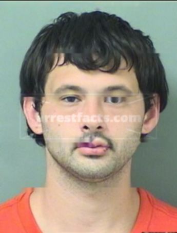 Ryan C Luzey