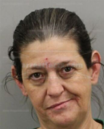 Renee Boone Elkins