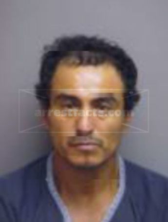 George J Alvarez
