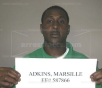 Marsille Adkins
