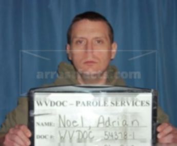 Adrian F Noel