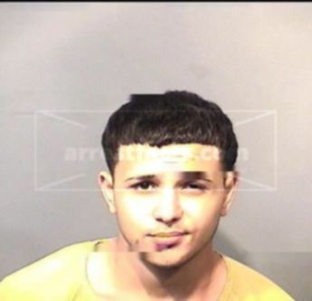 Hesham Mohamed Zaki