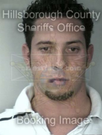 Michael Robert Hamilton