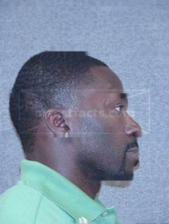 Shawn M Williams