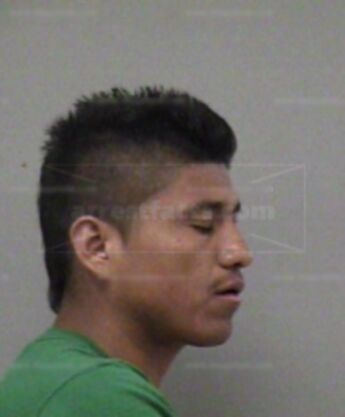 Elmer Vasquez-Ramirez