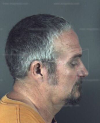 Steven Hale Pauli
