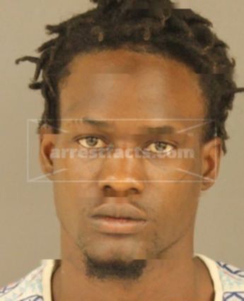 Davian Jacquard Bell