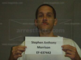 Stephen Anthony Morrison
