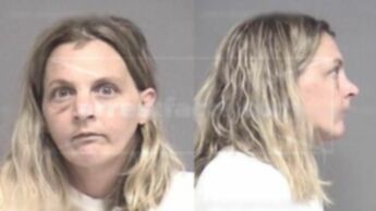 Chris Ann Tittel