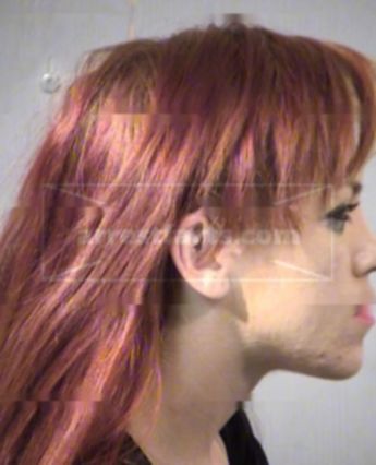 Amy Nicole Mcgraw