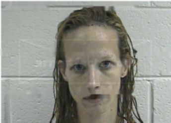 Hensley Sarah Diane