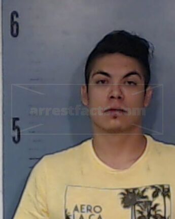 Justin Lee Cortinez
