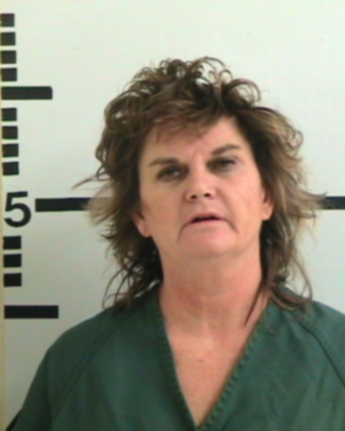 Sheri Elene Riggs