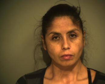 Cynthia Gonzalez Salinas Garza