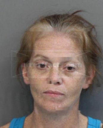 Cynthia Lynne Powell