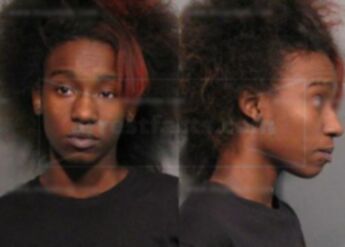 Ashley Shanice Richardson