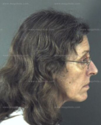 Susan Elaine Nichols