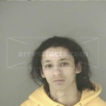Basheba Renee Hannah