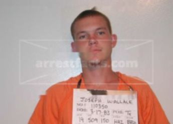 Joseph Wallace Williams