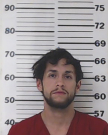 Joshua Michael Ochoa