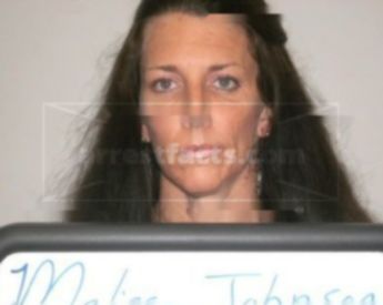 Melissa M Johnson