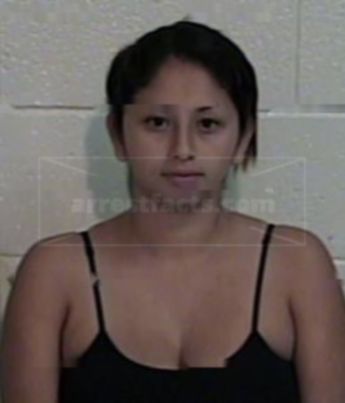 Rose Ann Gomez Castro
