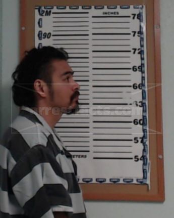 Ernesto Flores-Mendoza