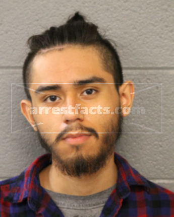 Anthony Celis