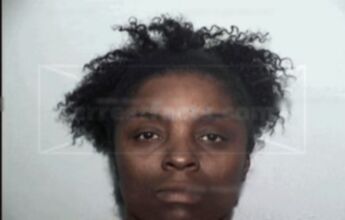 Terrance Gully