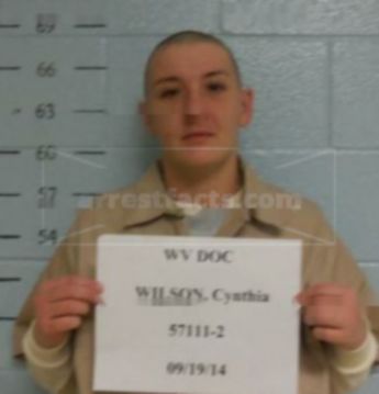 Cynthia J Wilson