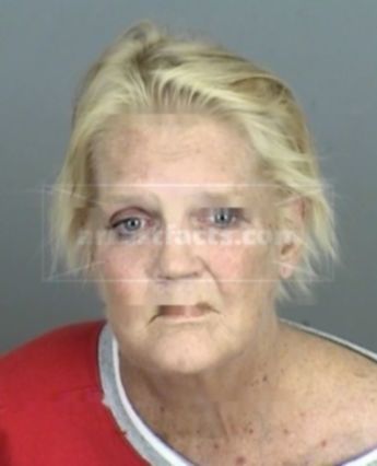 Mary Douglass Holmes