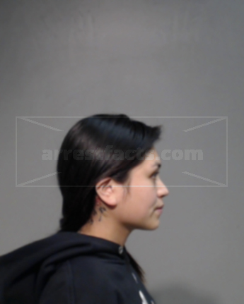 Kristine Arlene Mendez