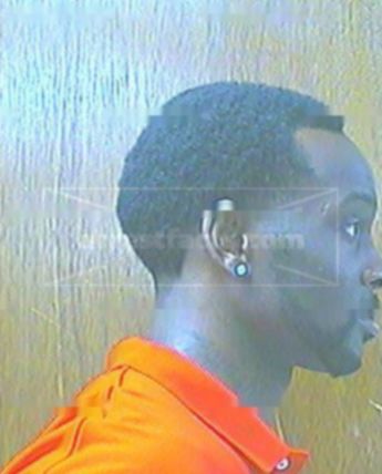 Jamelle L Bedford