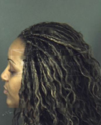 Bliss Nicole Pursley