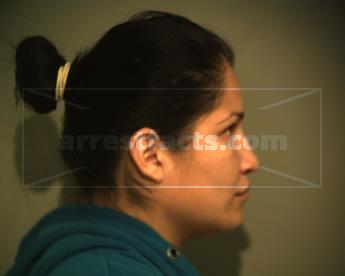 Diana Esmeralda Hernandez Garza