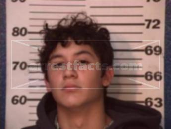 David Anthony Jr. Rios Polin