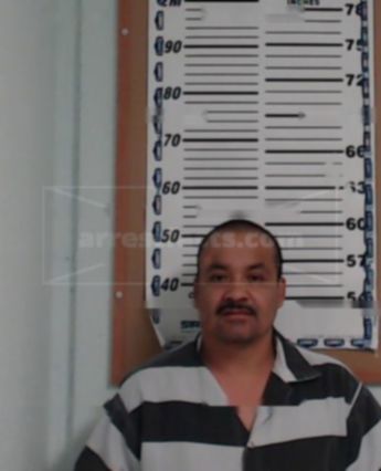 Javier Leon-Gallegos
