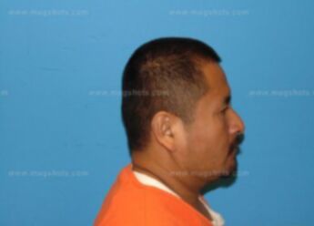 Fernando Hernandez-Hernandez
