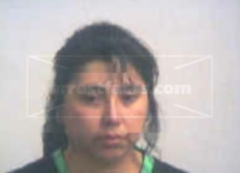 Shelly M Mireles