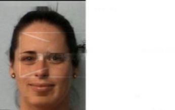 Amanda L Shisler