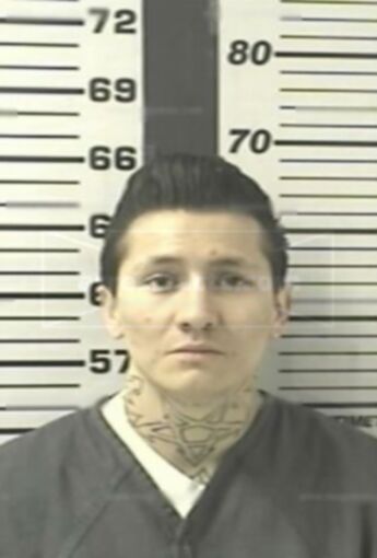 Nicholas C Pacheco