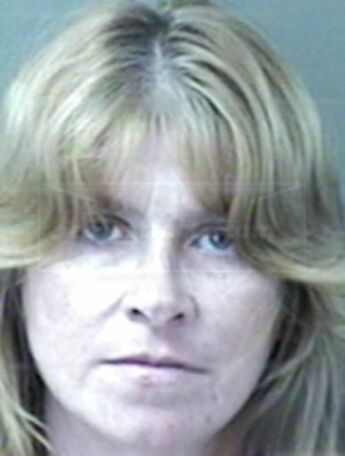 Donna Hicks Briggs