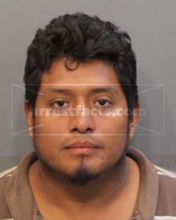 Ronald Domingo Ramirez