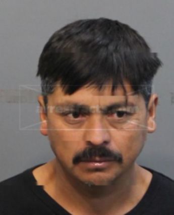 Jose Rojas Hernandez