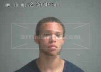 Michael A Bell