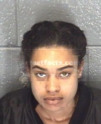 Tierra Michelle Perriello