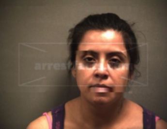 Isabel Sanchez Villarreal