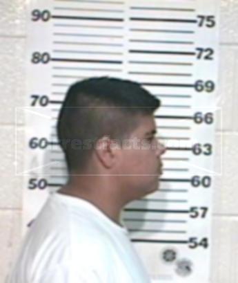 Jesus Ramos Mireles