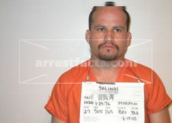 Mario Ramirez Salinas